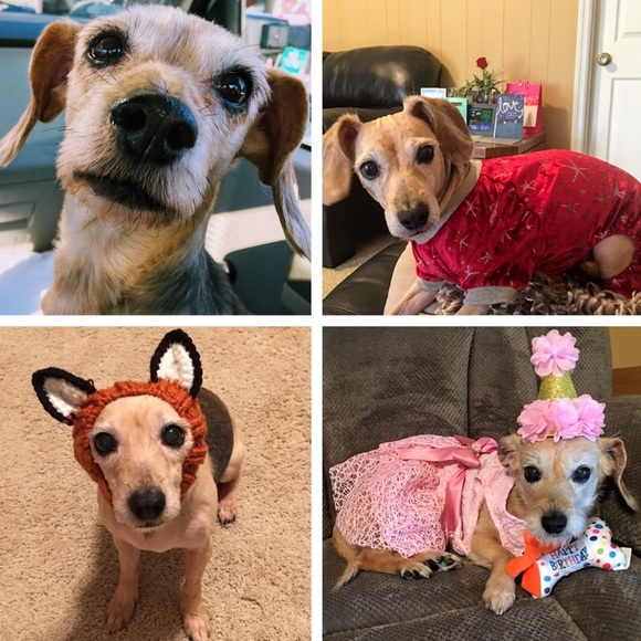 Meet your Posher, Julie - Picture 7 of 8